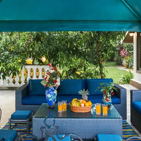 Stayvista'S Casa Palmera - 6Bhk Pet-Friendly Villa With Private Pool-3